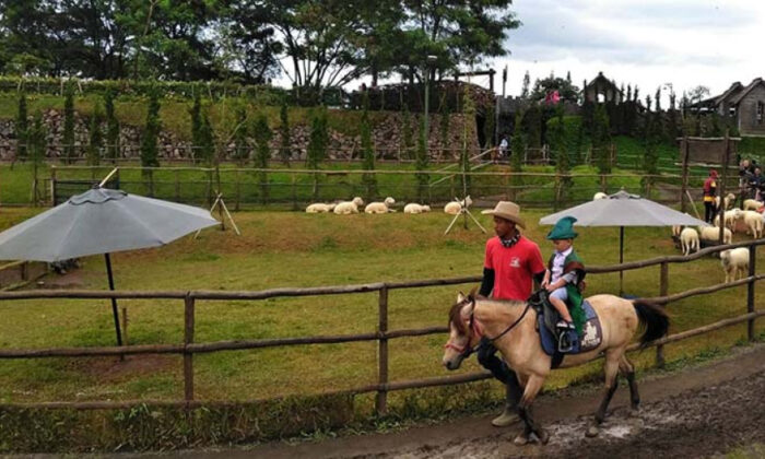 Rasakan Sensasi Berkuda Ala Koboi di Wisata Bandung De'Ranch
