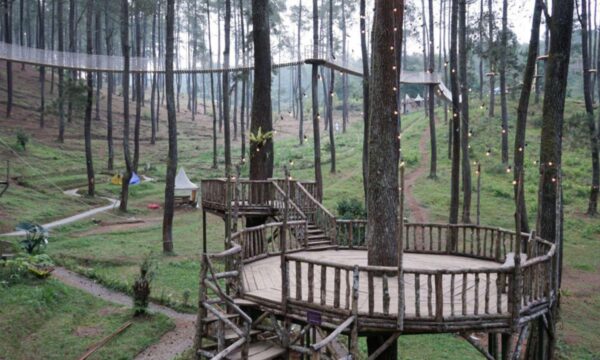 Wisata Hutan di Bandung