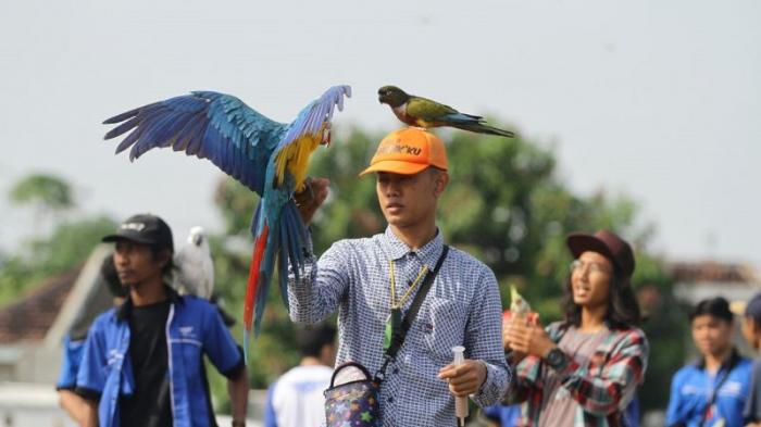Bicons, Komunitas Pecinta Burung Di Bandung