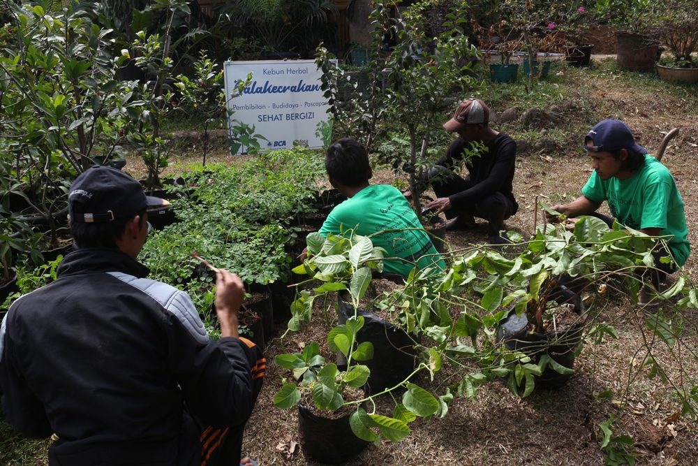 Komunitas Bandung Berkebun