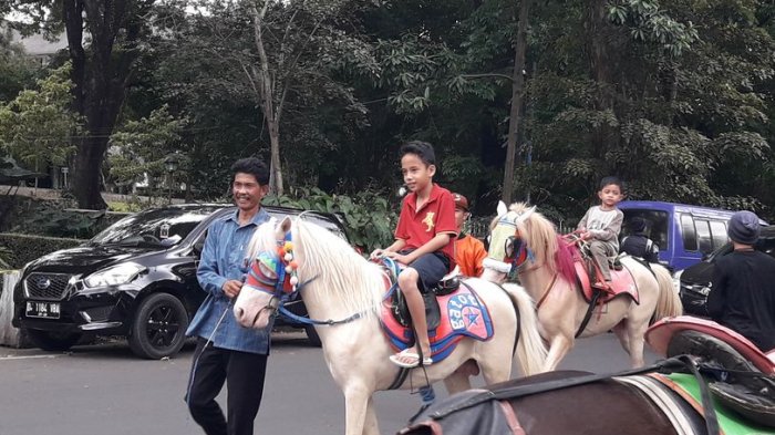 Kuda Jalan Ganesha Bandung