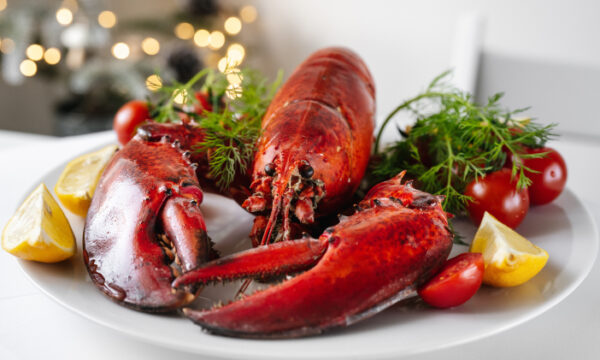 Mencari Tempat Makan Lobster di Bandung? Inilah Tempatnya