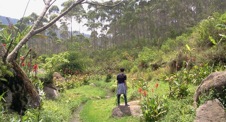 Wisata Alam Bukit Tunggul