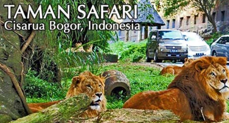Taman Safari Cisarua Bogor