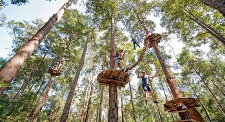 Wisata Bandung Treetop Adventure Park