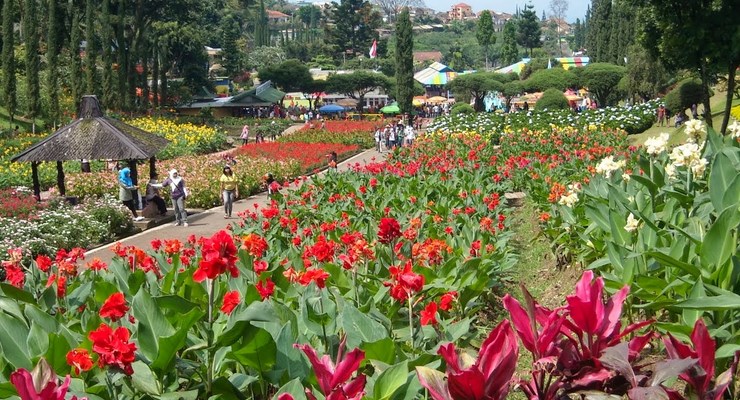 Taman Bunga Cihideung Lembang