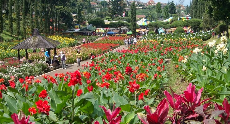 Wisata Taman Bunga Cihideung Lembang