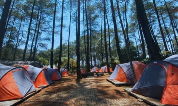 Curug Cipamingkis Camping Ground