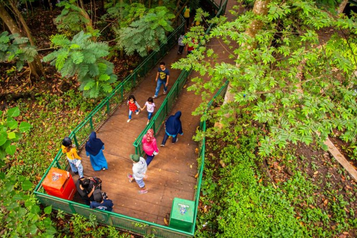 Forest Walk Babakan Siliwangi, Lokasi, HTM dan Aktivitas Menariknya