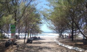 Pantai Cemara Jayanti