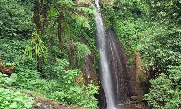 Curug Luhur Bogor