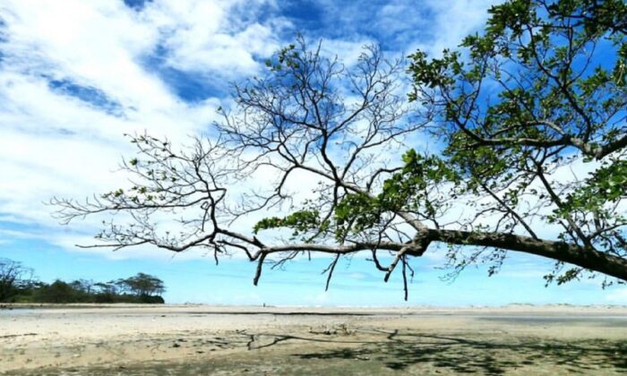 Pantai Cijeruk Indah