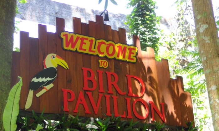 Bird And Bromelia Pavilion Bandung