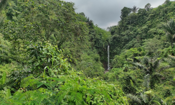 Curug Gado Bangkong Tasikmalaya