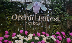 Orchid Forest Lembang