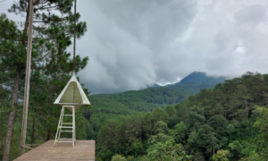 Pineus Forest View Tasikmalaya