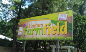 Kuntum Farm Field Bogor