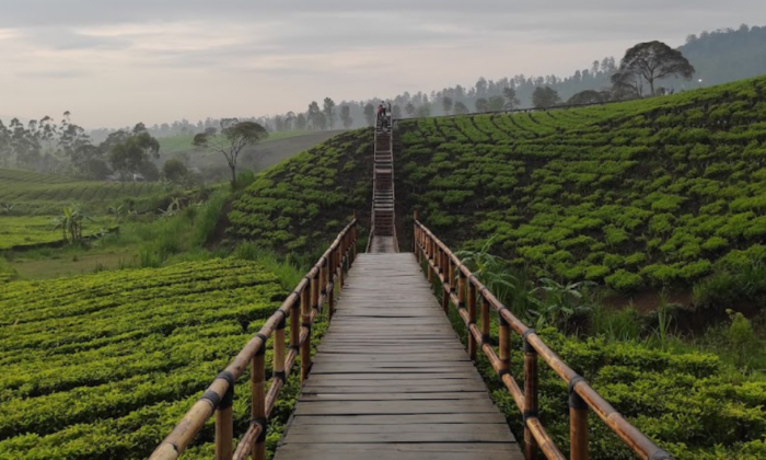 Nuansa Riung Gunung Pangalengan