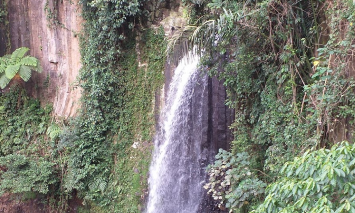 Curug Muara Bogor