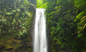 Curug Ngumpet Bogor