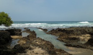 Pantai Cihara Lebak Banten