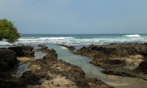 Pantai Cihara Lebak Banten