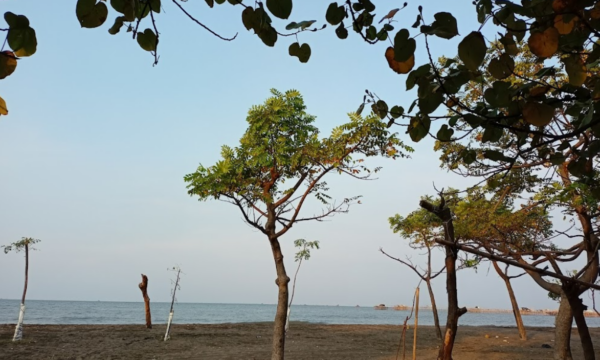 Pantai Tanjung Pasir Tangerang Banten